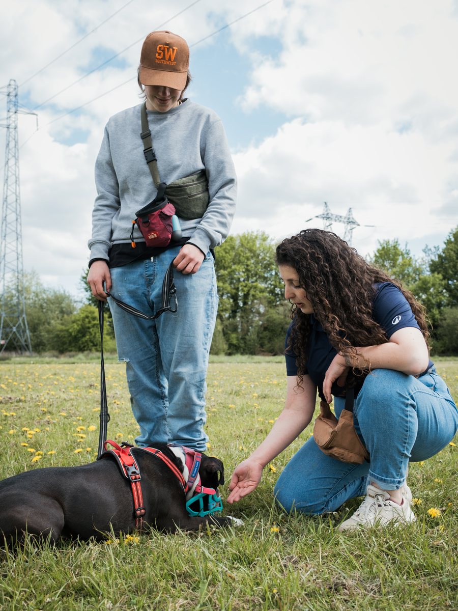 Séance individuelle d'éducation canine en extérieur