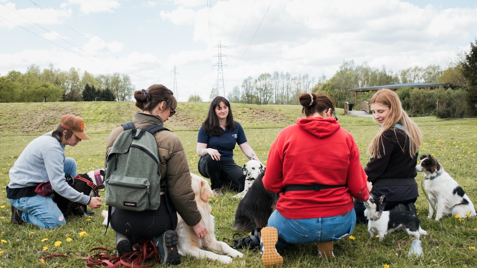 Cours collectif d'éducation canine en extérieur