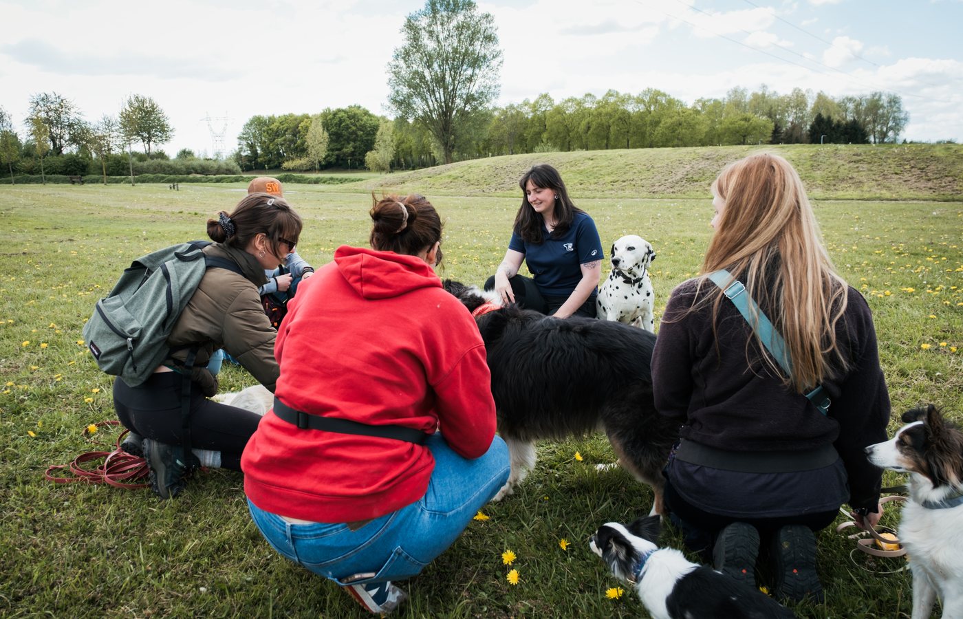 Cours collectif d'éducation canine en extérieur, maîtres et chiens en groupe