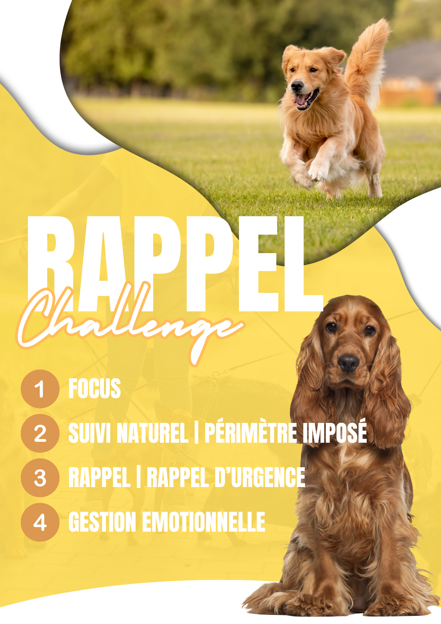 Challenge RAPPEL