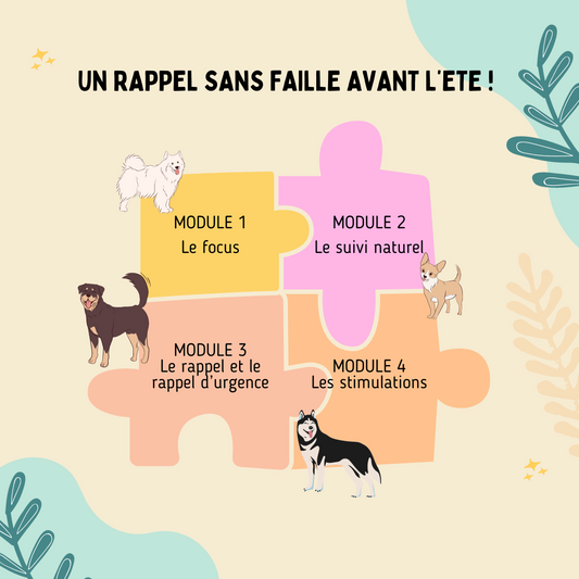 Pré inscriptions RAPPEL SANS FAILLE AVANT L'ETE